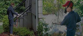 Herbal Pest Control Services in Pune